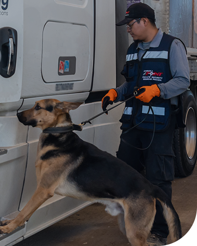 check-point-services-en-como